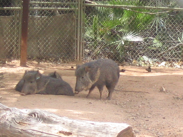 618x457 pixels (210K)